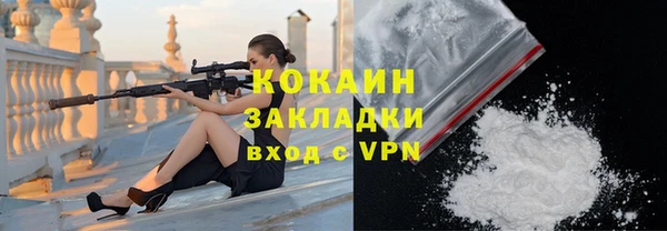 соль ск Няндома