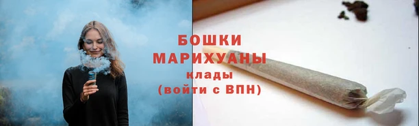 МДПВ Нея