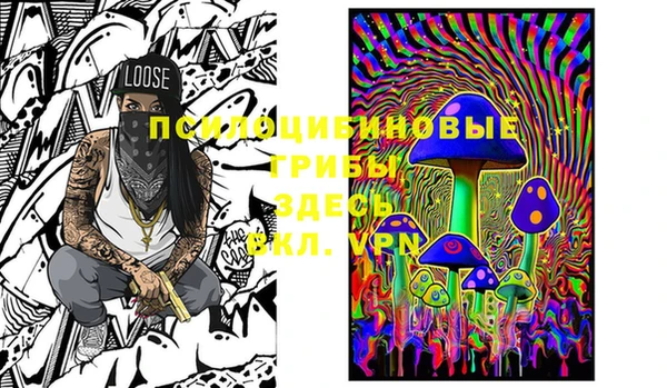 spice Новодвинск