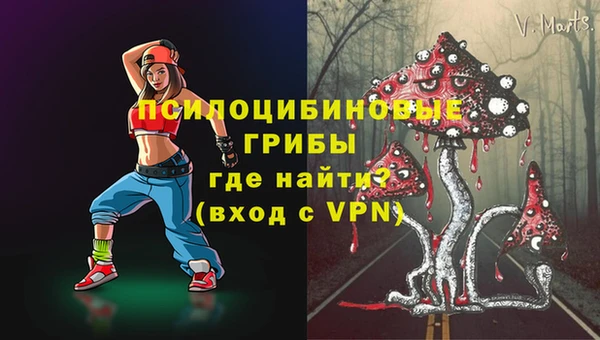 spice Новодвинск