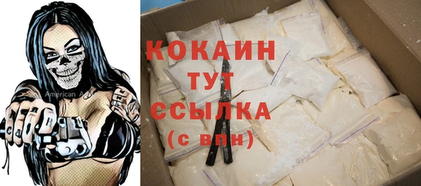 spice Новодвинск