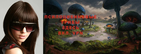 spice Новодвинск